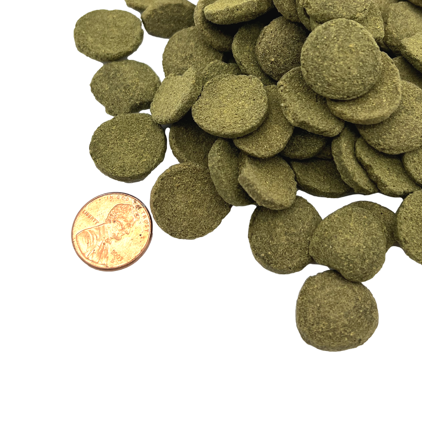 Algae Discs, 18 mm, Bulk