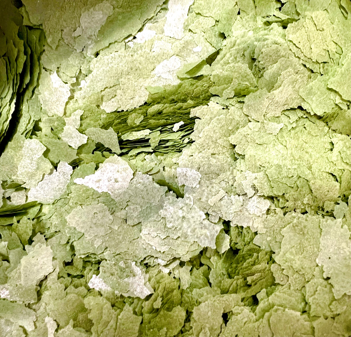 Spirulina Flakes, Bulk