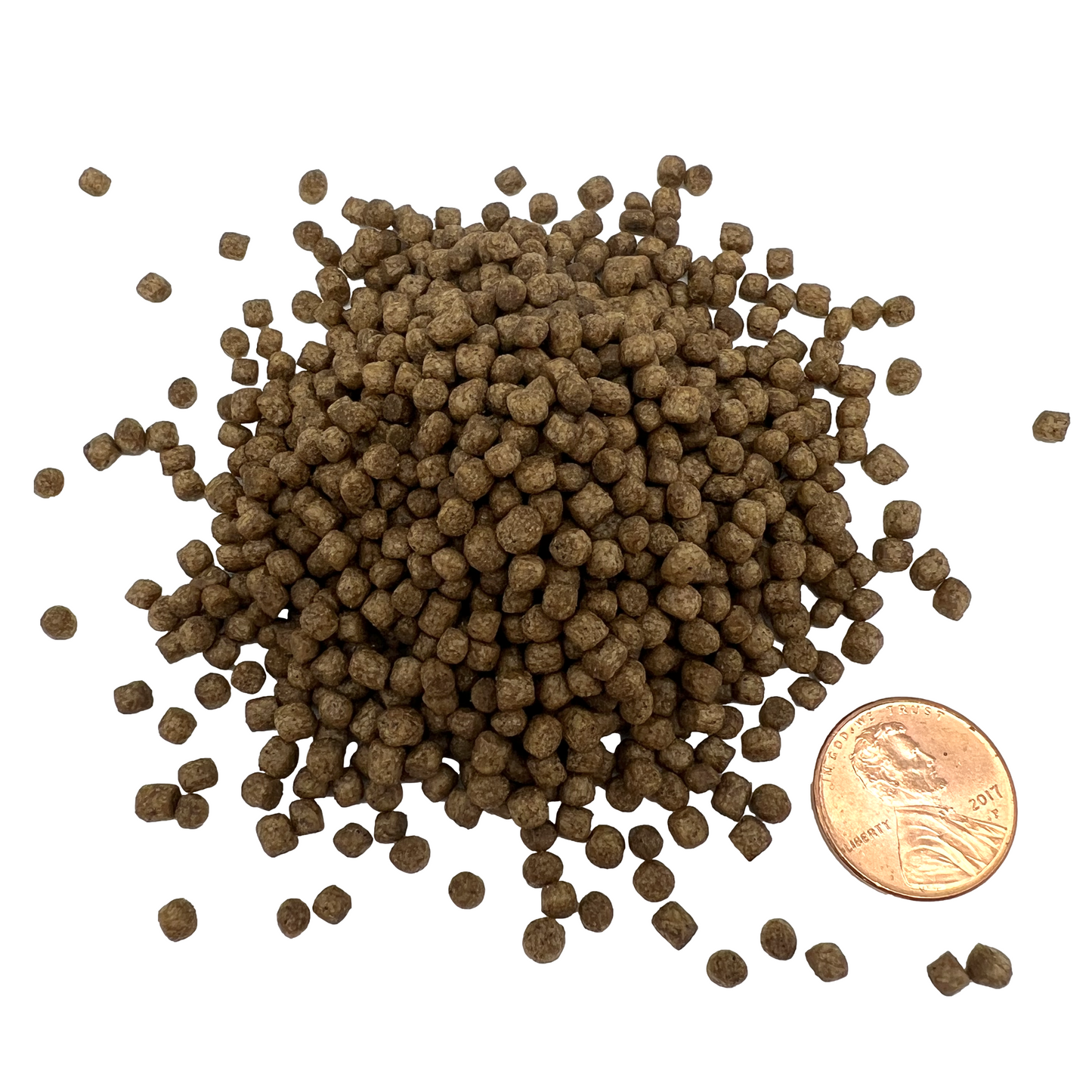 Simple Cichlid Large 3.5mm, Bulk